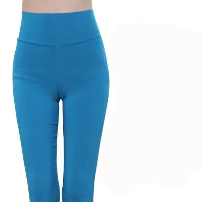 Plus Size High Waist Stretch Leggings